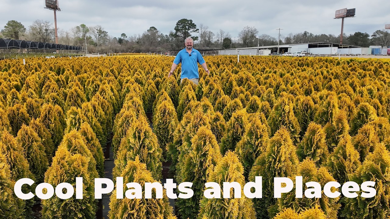 Cool Plants and Places - On the Road with HortTube