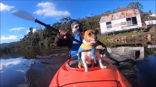 Kayaking Huon River Huonville To Franklin Trip 680 2 6 23
