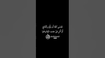 ماهر المعيقلي - سورة المائدة ( برواية حفص عن عاصم ) الأية 52