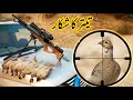 Partridge Teetar Hunting in Pakistan with PCP Airgun / Shikar 2021