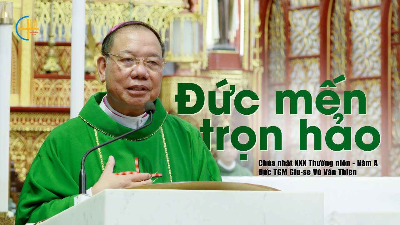 Outline Video CN XXX TN A || Đức Mến Trọn Hảo