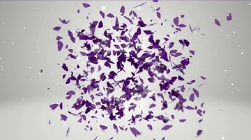 Purple Butterfly Logo Intro Template 2022 | Logo Intro No Copyright | Logo Intro Without Text