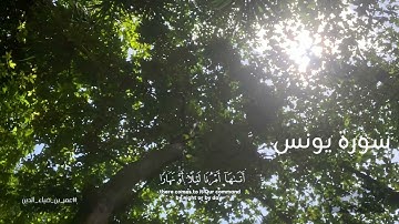 سورة يونس | القارئ عمر ضياء الدين 🦢🌱| تلاوة خاشعة🤍 (بدون إعلانات)