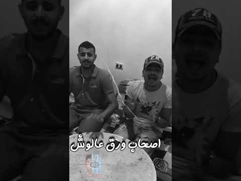 فيديو: أصحاب ورق على شكل أرنب