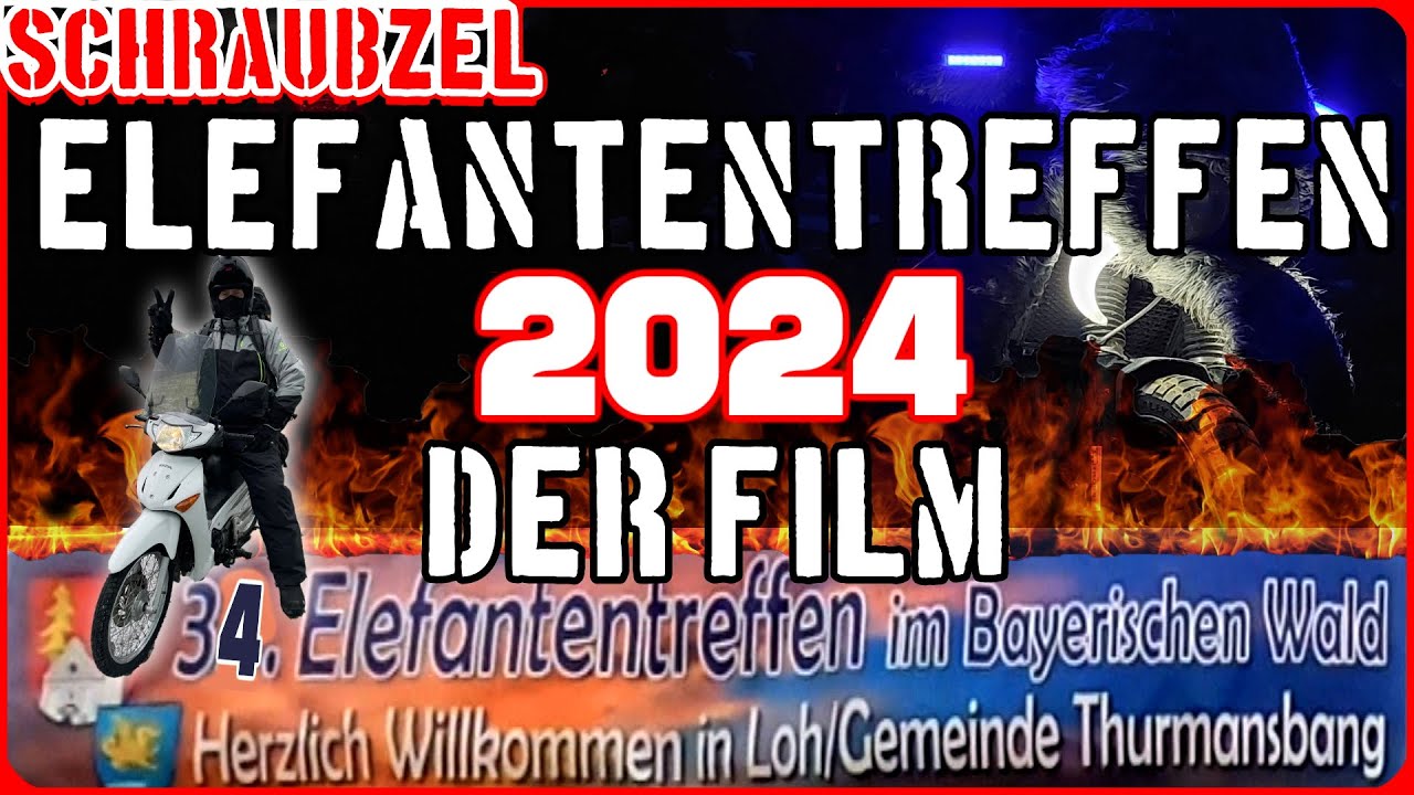 🐘 ELEFANTENTREFFEN der FILM 2024 🐘