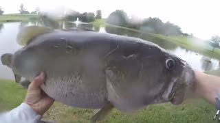 Little Kid Reels In An Absolute Hog Of A Bass In Wholesome Video