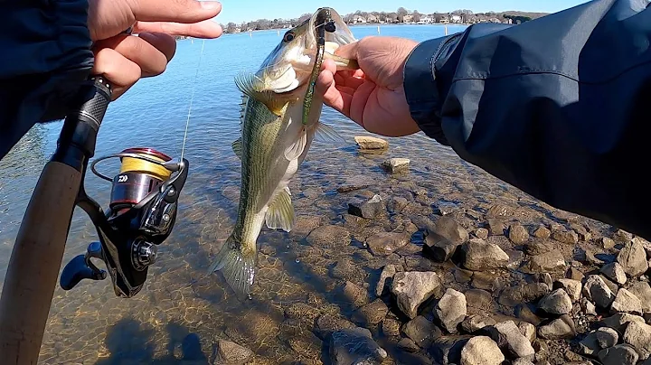 Lake Norman Winter Bass Fishing