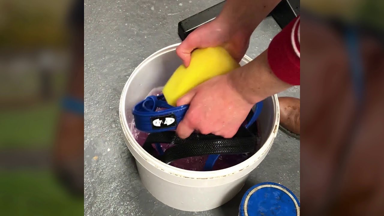 Zilco Bridle Cleaning