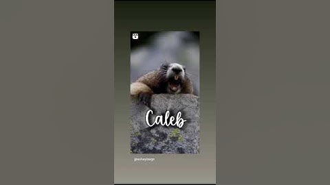 O Calebe