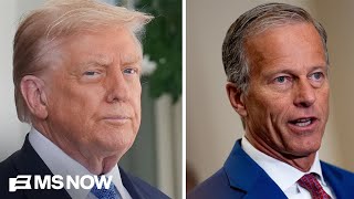 Have Senate Republicans reached a ‘BREAKING POINT’ with Trump?