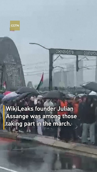 Sydney Harbour Bridge closed as tens of thousands join pro-Palestinian march