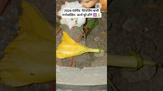2026 पार्थिव शिवलिंग सभी मनोवांछित कार्य पूरे होंगे#pradeepmishra #vairalshort