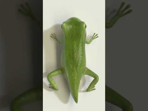 Amazing transformation -
