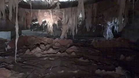 Crawlspace Damaging Moisture Intrusion Discovered by Nashville TN Home Inspector.wmv