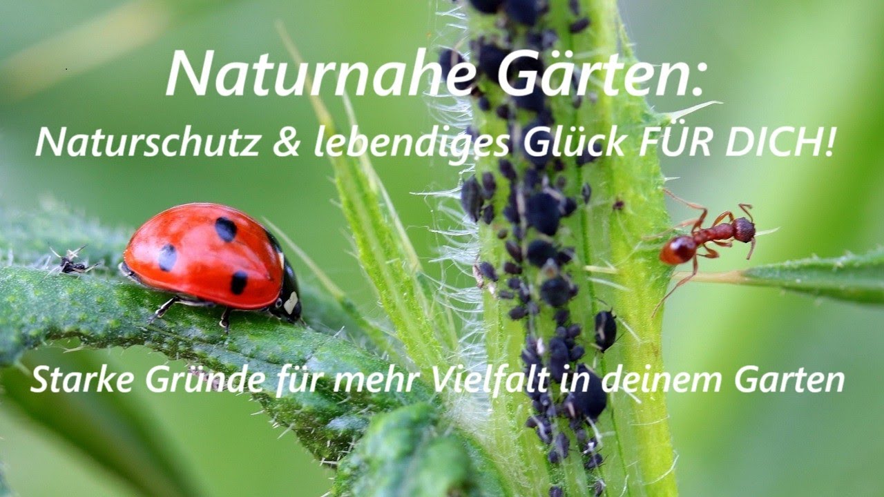 Starke Gründe für NATURNAHE GÄRTEN: Naturschutz & lebendiges Glück FÜR DICH !