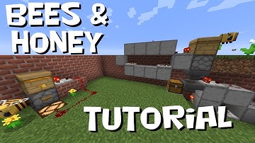 Bees and Honey Tutorial - Information and Automation - Minecraft 1.15.2