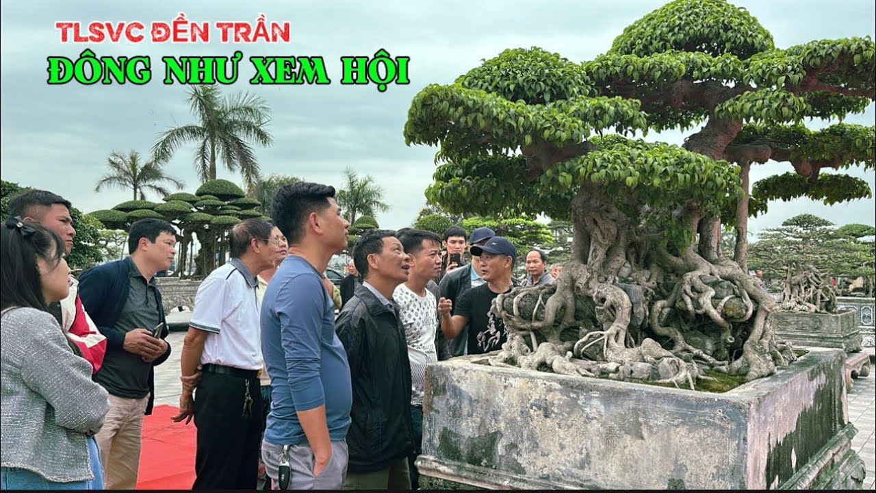 ĐÔNG NHƯ HỘI TẠI TLSVC ĐỀN TRẦN chào mừng lễ khai ấn | Quảng Tùng