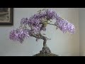 S.226 (sdt:0934938011) Bão sale cuối tuần, nhanh tay thì còn - chậm tay thì hết nha anh chị ơi