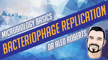 Bacteriophage Replication, Lysogenic and Lytic Cycles [Microbiology Basics]
