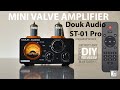 Douk Audio ST-01 PRO Amplificateur Hi-Fi 200 W Mini amplificateur à tubes avec Bluetooth 5.0, VU, entrée coaxiale/optique USB DAC (ST-01PRO