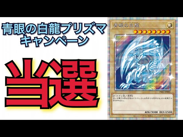 遊戯王】当選！！プリズマティックシークレットレア「青眼の白龍」GET