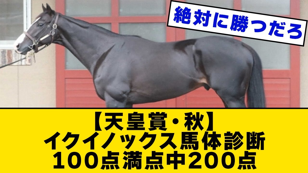 【天皇賞・秋】馬体のプロ「イクイノックスは200点(100点満点)」【2ch反応】 - YouTube