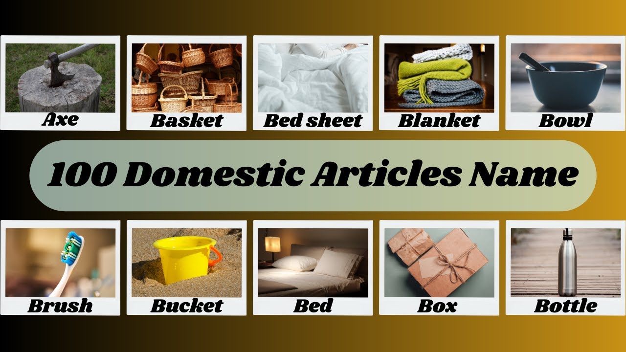 100 Domestic Articles Names List Of Domestic Articles Domestic 100-domestic-articles-names-list-of-domestic-articles-domestic