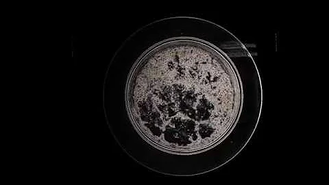 Orientation effect detection in liquid crystals using Sobel filter (Sobel-Feldman operator). 1.