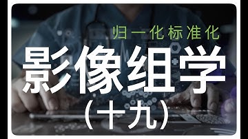 Data Normalization | Radiomics course - 数据标准化归一化极简概述，影像组学群答疑。