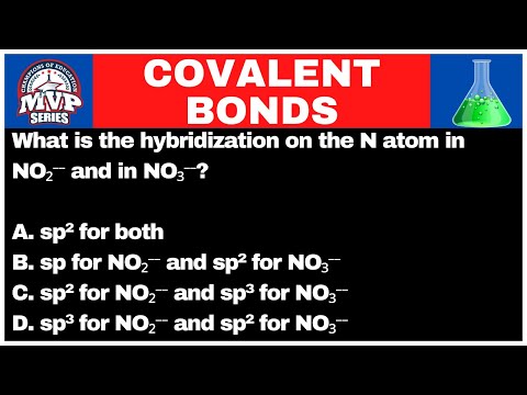 What is the hybridization on the N atom in NO2- and in NO3-?