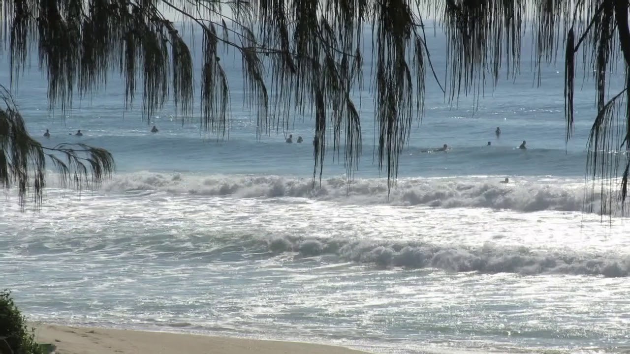 Praia do Moçambique 6 Março 2018 - 8:30 horas - In Paradise