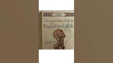القارئ عبد الباسط عبد الصمد