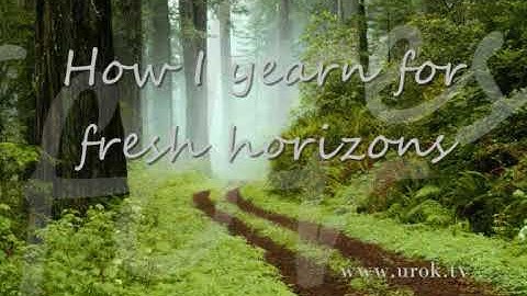 How To Launch For Free: uROk 33 Day Challenge diy life-planning video