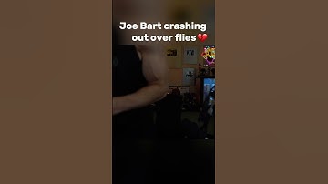 Joe Bart crashes out over flies 😭 #joebartolozzi #gta5_fivem_tricks #tiktokeffects #twitch #trending