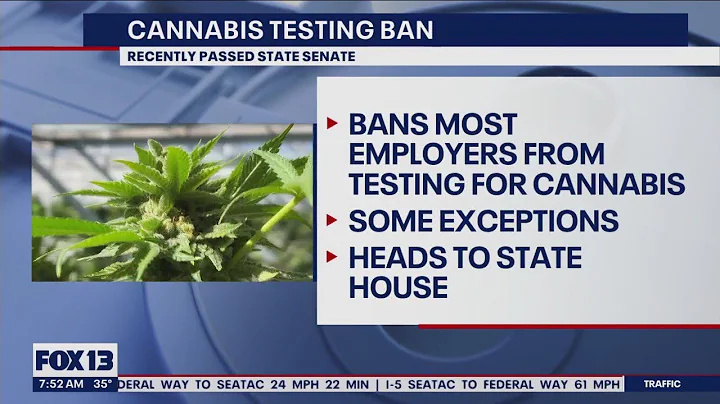 WA bill would prevent employers from testing job applicants for marijuana | FOX 13 Seattle