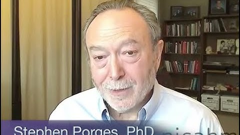 Polyvagal Theory and How Trauma Impacts the Body