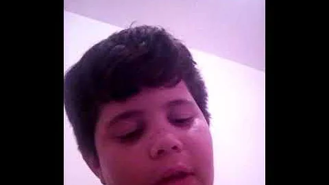 Como acostumar passarinho solto?