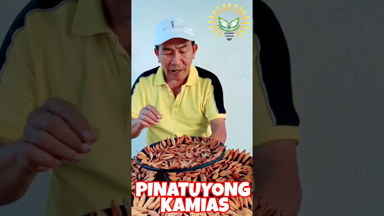 Pinatuyong kamias o kalamiyas. #kabayangmanny ##kamias