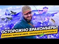 ОСТОРОЖНО БРАКОНЬЕРЫ!!! Неправильный троллинг. Бомбим чёрную икру. Промысел осетровых