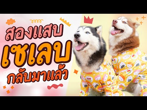 ผลสลากกินแบ่งรัฐบาล วันที่ 1 พย. 2567 ผลสลากกินแบ่งรัฐบาล วันที่ 1 พย. 2567