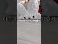(프로필 링크) 풋브러쉬 발세척매트
