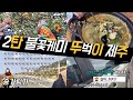 겨울제주 브이로그ep.2🍊| 제주도히치하이킹 뚜벅이, 히치하이킹, 귤따기체험, 보말칼국수, 보말죽, 괸당집, 혜월정 #뚜벅이제주 #겨울제주여행 #히치하이킹