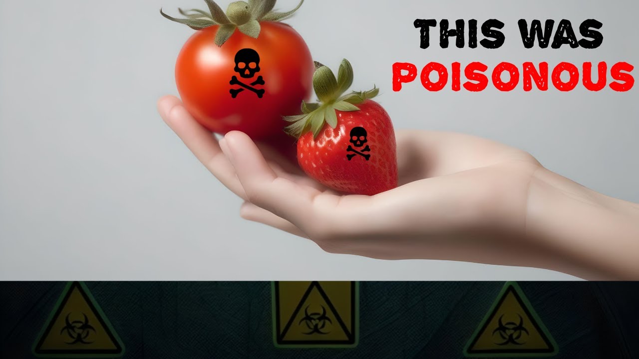 The Great Food Misconception: New 10 Edible Delights That Were Once Feared as Poison