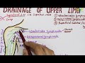 Lymphatic Drainage of Upper Limb | Lymph Vessels & Lymph Nodes