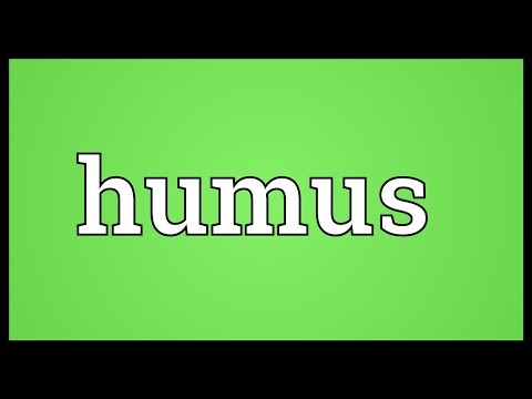 Humus Meaning