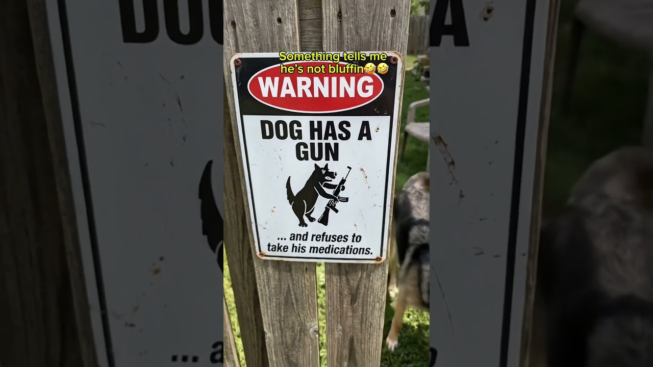 “Beware of dog ”#funnydogvideos #funnyvideo #funny #dogs #dogshorts