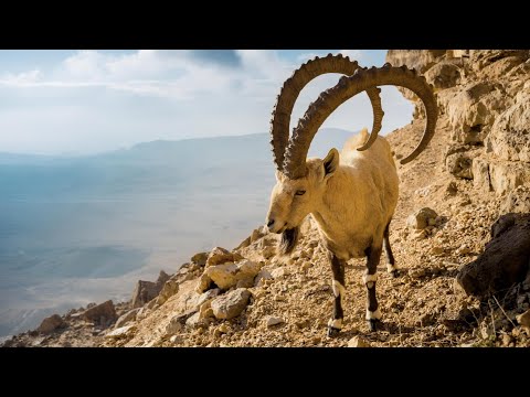 تصویری: مقاصد وابسته به اکوتوریسم با یک بحران خاموش روبرو هستند