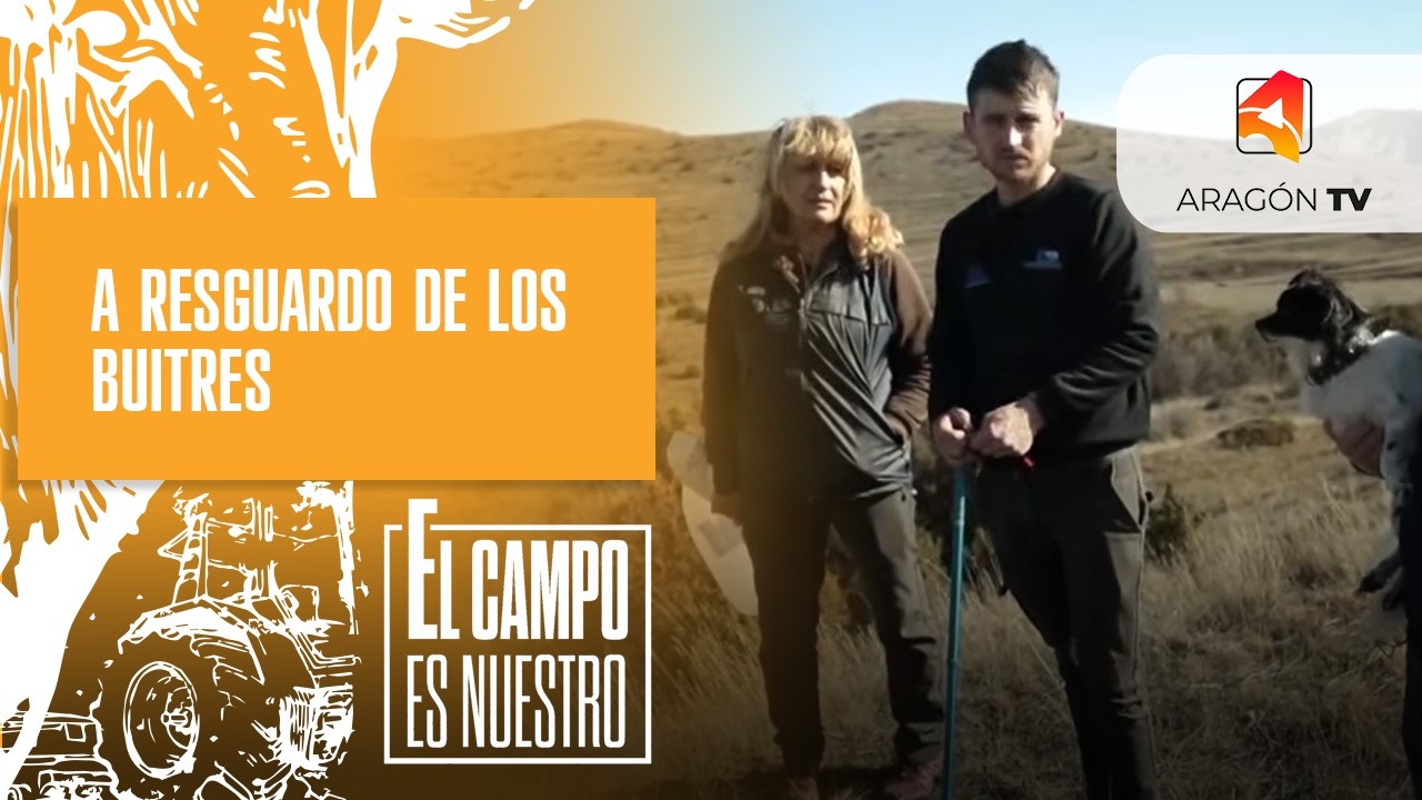 A resguardo de los buitres
