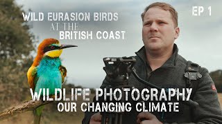 UK Wildlife Photography | Changing Climate Series | Bee Eaters in Norfolk Episode 1 by Drew Webb Wild 1,491 views 10 months ago 10 minutes, 27 seconds