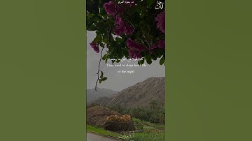 #سعود_الشريم سورة الذاريات .